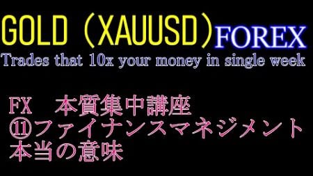 FX　本質集中講座 ⑪ファイナンスマネジメント 本当の意味