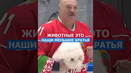 Животные Наши Меньшие Братья! Лукашенко #политика #батька #лукашенко #нация #беларусь