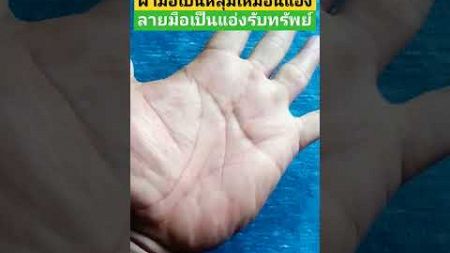 ลายมือแอ่งรับทรัพย์#ดวงลายมือ#ลายมือ#koh_foodthai#ดูดวงแม่นๆ ...