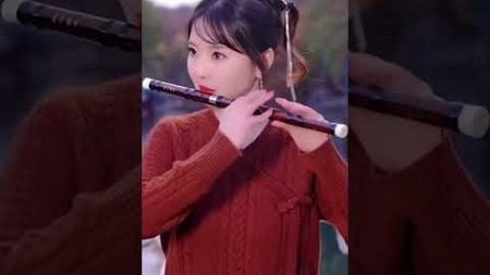 Nhạc hay toàn cầu 全球好音乐good music every day세계적으로 좋은 음악♥️🎵🥁🎷🎺🪈🎸♥️