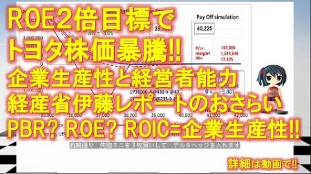 「企業生産性、経営者能力と伊藤レポート」ROE２倍目標でトヨタ株価が暴騰 2024/12/30からの１週間　#日経225先物オプションNEWS