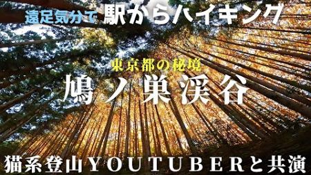 【鳩ノ巣渓谷】奥多摩でスーパースターと共演！古里駅から白丸駅まで大奥多摩ウォーキングトレイル