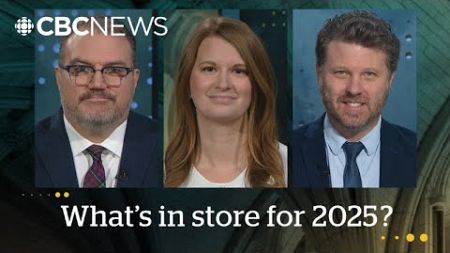 Political Pulse panel: Stories to watch in 2025