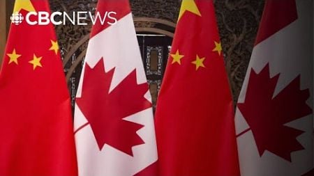 Human rights activist &#39;never thought&#39; China would target &#39;ordinary Canadians&#39; like himself