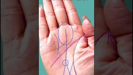 女强人的手相：晚年享福#手相 #面相 #八字 #星座 #palmistry #科普 #physiognomy #命理 #运势 #占卜