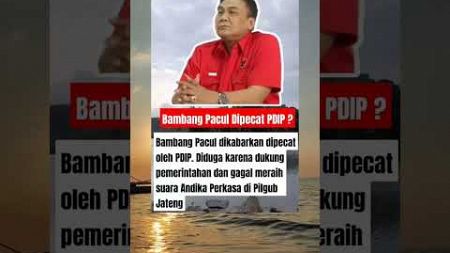 Bambang pacul dipec4t PDIP? #pdip #berita #politik