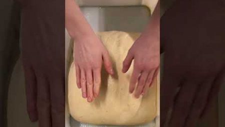 Dough folding❤️ Die Kunst ein schönes Volumen dem Brot zu geben😋