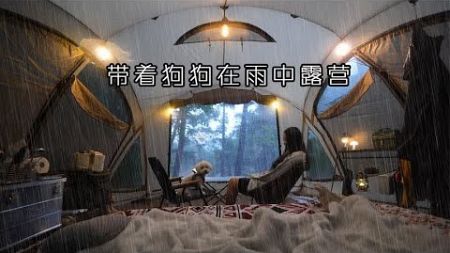 带着狗狗在雨中露营