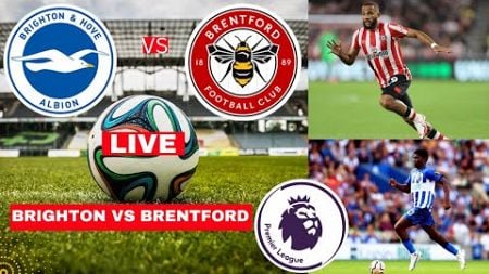 Brighton vs Brentford 0-0 Live Stream Premier League EPL Football Match Score Commentary Highlight