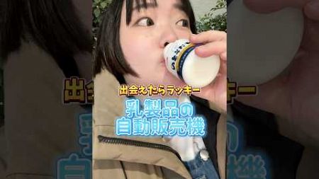 乳製品の自動販売機🐄ぽっちゃり女子が正直食レポ！ #ぽっちゃり女子 #代々木グルメ #飲むヨーグルト #自動販売機 #美味しい #ヨーグルト #珍しい #おデブ