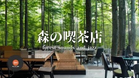 環境音＋JAZZ やさしい森の喫茶店 自然環境音 リラックスカフェ CAFE MUSIC 癒しの空間 鳥のさえずり 川のせせらぎ 作業 勉強 - 作業用BGM