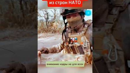 Курская область Курщина Новости Россия украина сегодня сейчас сводки