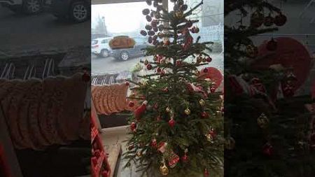 Weihnachtsbaum im Geschäft #christmas tree in the store #Sapin de Noël dans le magasin