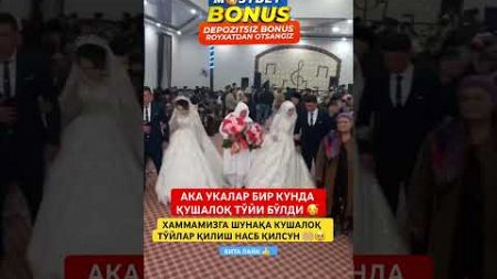 АКА УКАЛАР БИР КУНДА ҚЎШАЛОҚ ТЎЙ БЎЛДИ 🤲🏼🥹#той #свадьба #wedding