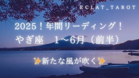 星座占い✨2025年間運勢（1〜6月前半）【やぎ座さん】タロット前向きリーディング‼︎泣！めちゃくちゃ応援されてる！😭新たな風が吹き、ステージUPしていく！