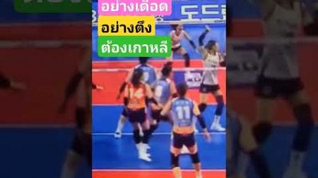 #ล่าสุด #ไฮไลท #volleyball #โมเมธนัชชา #ถ่ายทอดสดกีฬา