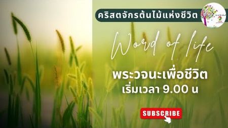 พระวจนะวันอาทิตย์ | วันอาทิตย์ที่ 29 ธันวาคม 2024 | คริสตจักรต้นไม้แห่งชีวิต