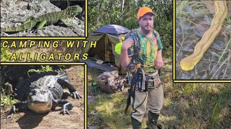 Camping With Alligators After Long Hike Into The Everglades