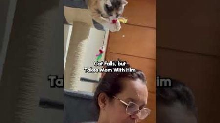 Anything so the cat doesn&#39;t fall! 🤣💇‍♀️🐈 #Cats #CatMemes #Funny #FunnyCats