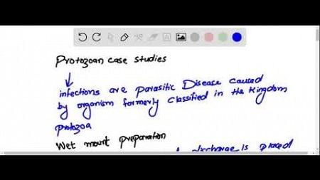 Protozoan Case Studies CASE A A 22-year-old woman was admitted to the emergency department at 3:00 …