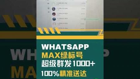 WhatsApp超级群发营销软件#whatsapp #whatsapp群发软件 #外贸获客软件