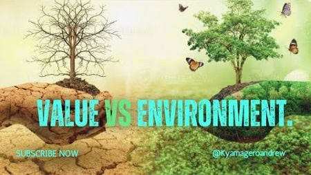 VALUE VS ENVIRONMENT.