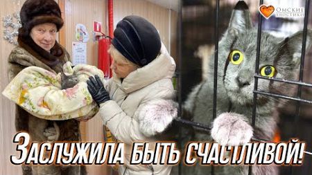 Заслужила быть счастливой! | Фрея