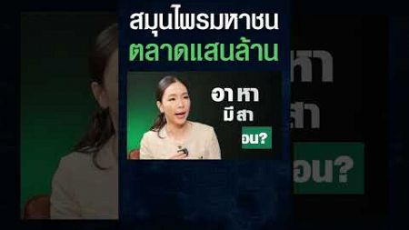 เปลี่ยนสมุนไพรไทย เป็นธุรกิจในตลาดแสนล้าน จากภูมิปัญญาสู่เวทีโลก (ดร.ธีรญา กฤษฎาพงษ์) #shorts