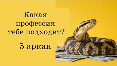 Какая профессия тебе идеально подходит. 3 аркан в зоне финансов в матрице судьбы