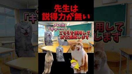 【猫ミーム】教育するには説得力が大事です！ww #shorts #猫ミーム #猫マニ #学校 #教育