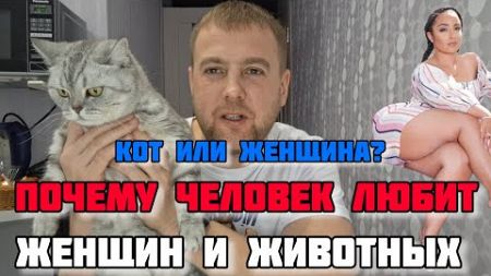 ЗАЧЕМ НАМ ЖЕНЩИНЫ/ОТНОШЕНИЯ МЕЖДУ МУЖЧИНОЙ И ЖЕНЩИНОЙ