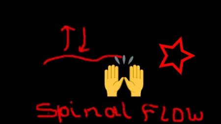 Spinal Flow Activates the Flow in the Spine for Improved Wellbeing - Shorts