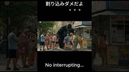 A gorilla cuts in line at a lottery ticket counter?　宝くじ売り場の行列にゴリラが割り込み？　#shorts #ゴリラ #gorilla