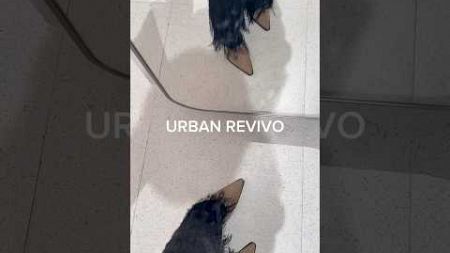 ชอบรองเท้ากระเป๋าของ URBAN REVIVO คือไอเท็ม Must Have เลยยิ่งพวกรองเท้าหัวแหลมงานดีมาก #fashion