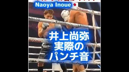 【実際の音】井上尚弥のパンチ音がヤバイ Naoya Inoue