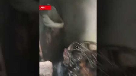 Delhi: A Fire Broke Out In A Heater Factory At Jagdamba Colony Of Johri Pur | N18S #shorts #viral