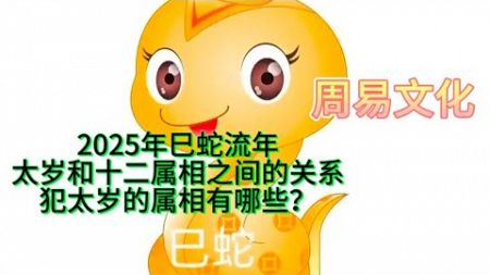 2025年青蛇年，十二属相与太岁的关系，哪些属相犯太岁