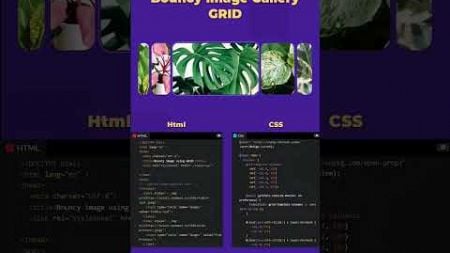 Gallery #slider #slidercard #image #slides #coding #javascript #css #html #programming #webdesign