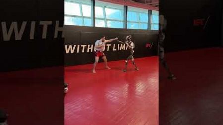 Nina Drama crashes Merab Dvalishvili secret UFC training #UFC #shorts #mma