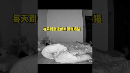 像不像小时候闹着要养宠物的你…