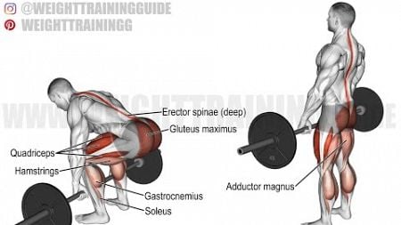 Video 4 Enhancing Performance through Biomechanics Case Studies and Practical Application