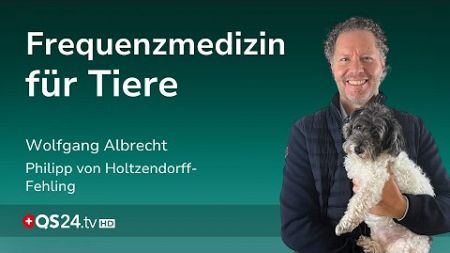 Elektrosmog, Stress und Co.: Was unsere Haustiere krank macht | Erfahrungsmedizin | QS24