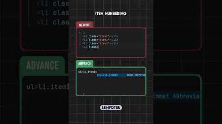 Newbie vs. Advance | Junior vs Senior | Web Development | HTML Item Numbering