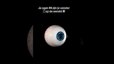 Volg mij en vergroot je kennis over je oog gezondheid 👀🙌👩🏻‍⚕️ #oog #ooggezondheid #gezondheid