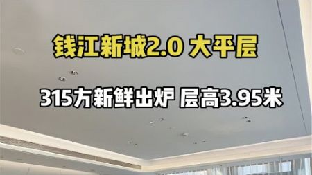 钱江新城2.0 新鲜出炉精装大平层 315方四房四卫设计 层高3.9米大平层 杭州买房