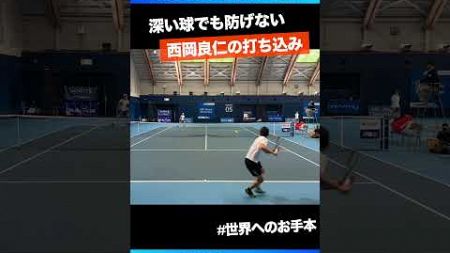 #世界へ挑むお手本【SBCファイナル2024/QF】西岡良仁(ミキハウス) #shorts #テニス #tennis