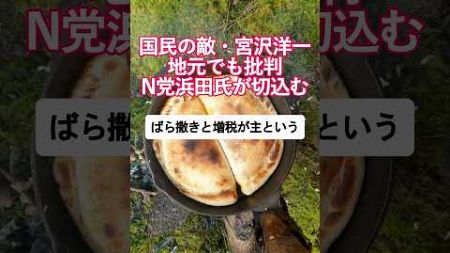 広島経済と岸田・宮沢利権政治の裏側を浜田聡議員が切り込む切り込むVoiced by https://CoeFont.cloud #岸田文雄 #宮沢洋一 #浜田聡 #NHK党 #自民党