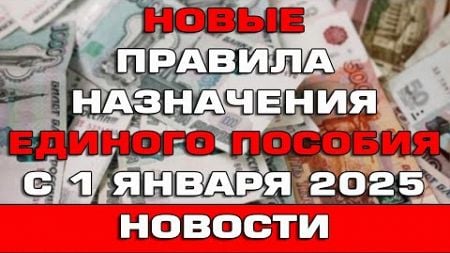 Новые правила назначения Единого пособия с 1 января 2025 Срочные новости