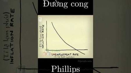 Đường cong Phillips #toanthuvi #education #toanhoc #science #maths