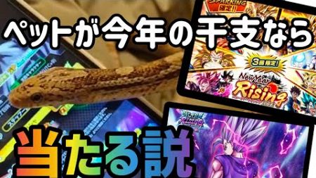 【ガシャ】ペットが今年の干支なら引かせれば当たる説【ドラゴンボールレジェンズ】